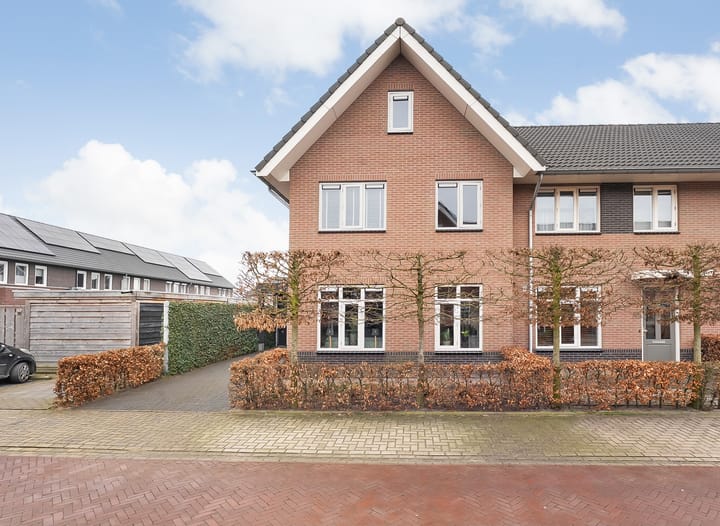 Foto 3 van Boekweitveld 36