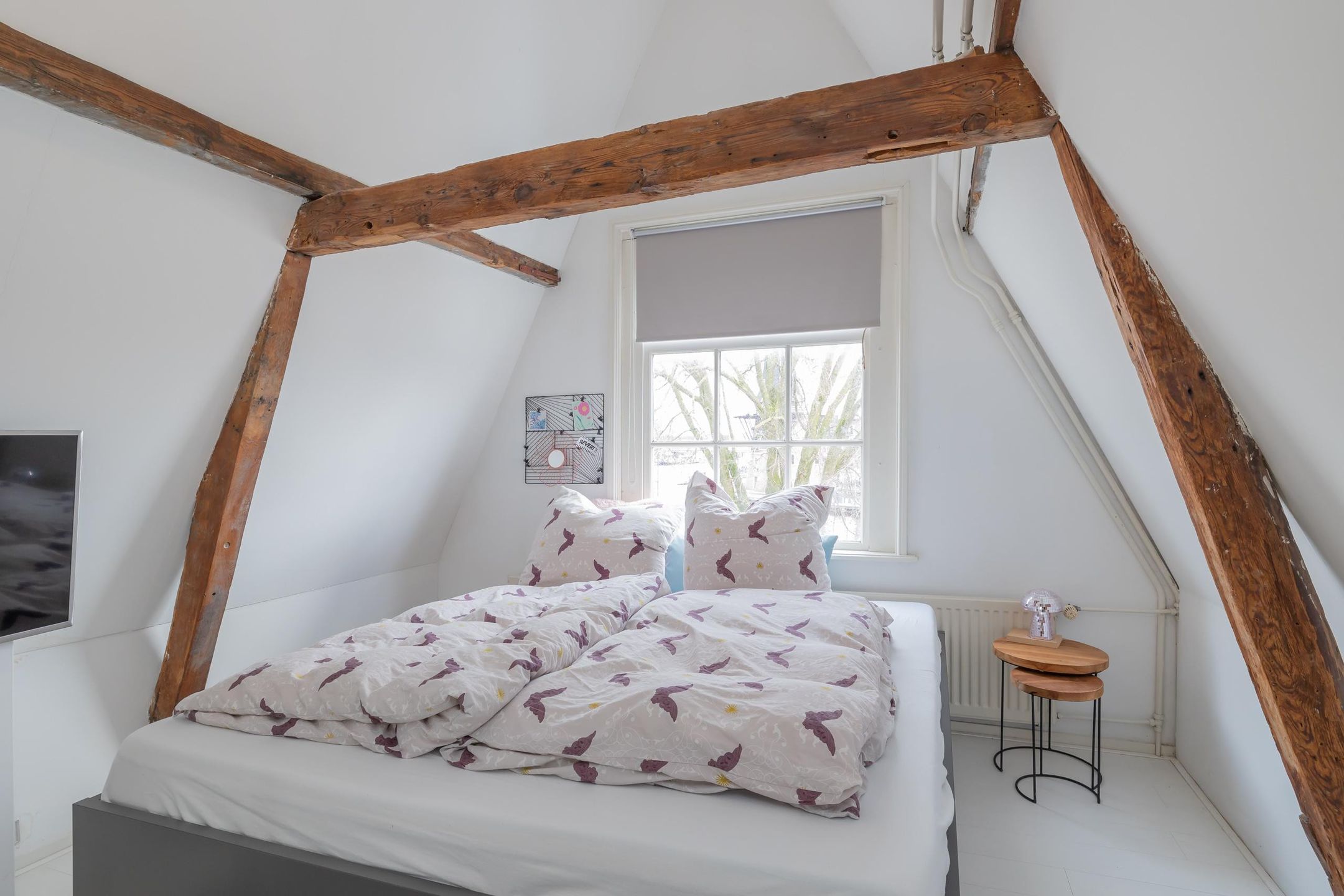 Foto 39 van Koudenhorn 20