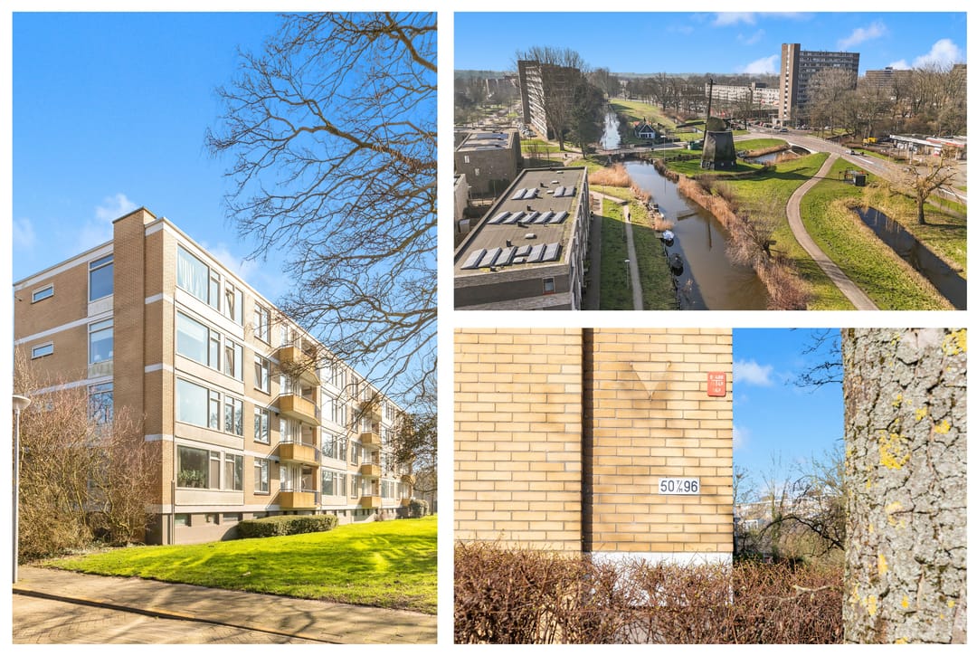 Foto 2 van Van Ostadelaan 78