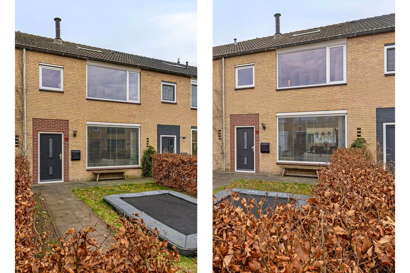 Foto 1 van Ranonkelstraat 75