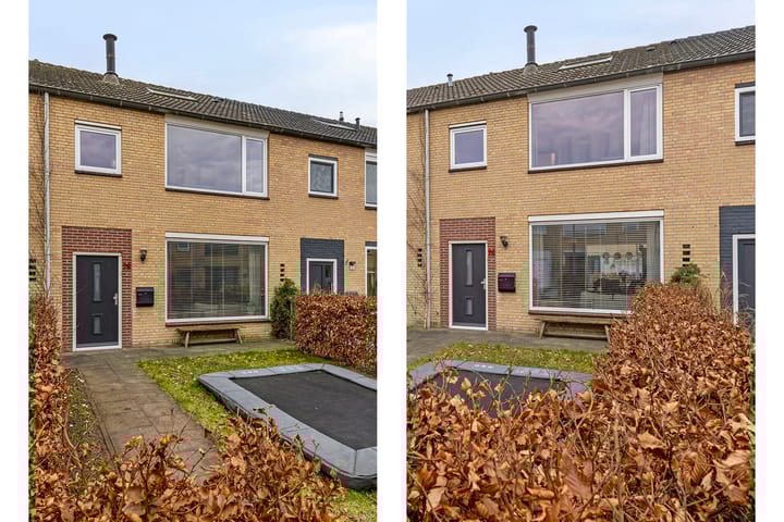 Foto 1 van Ranonkelstraat 75