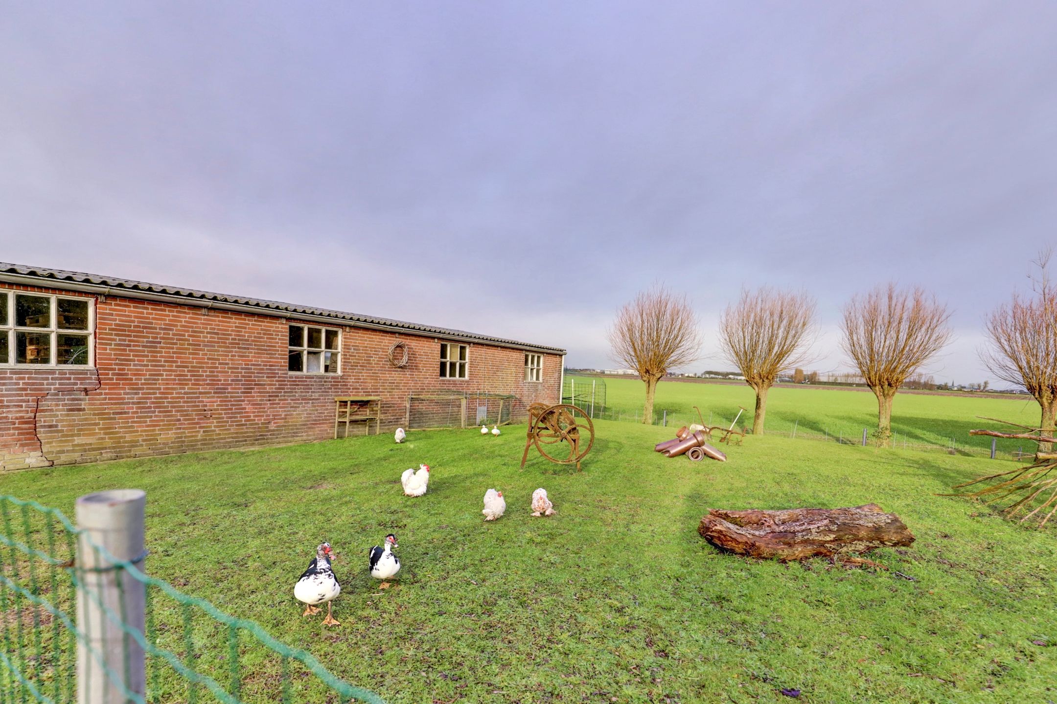 Foto 57 van Schoterweg 1