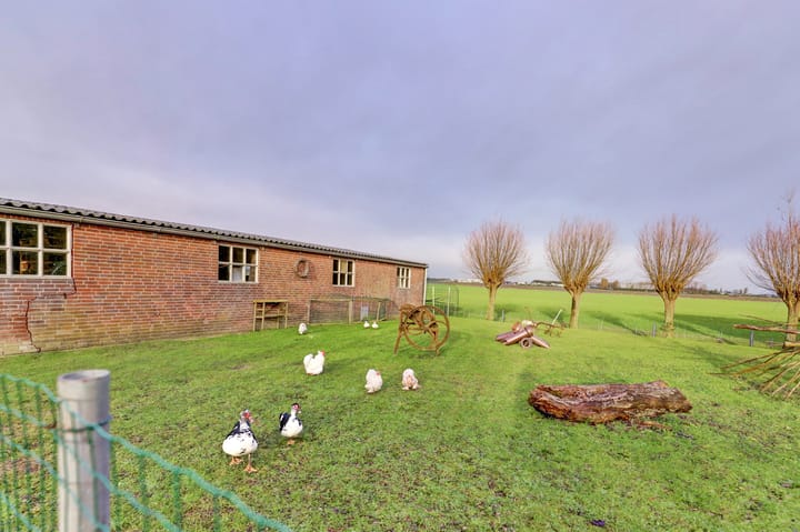 Foto 57 van Schoterweg 1