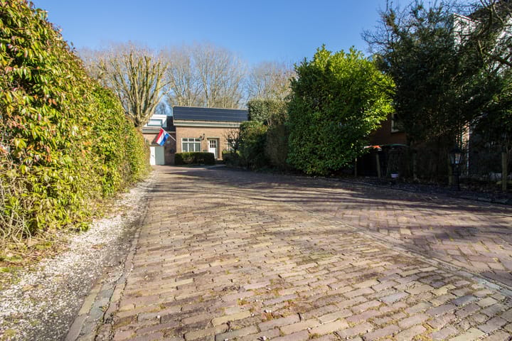 Foto 5 van Druijfplaats 15