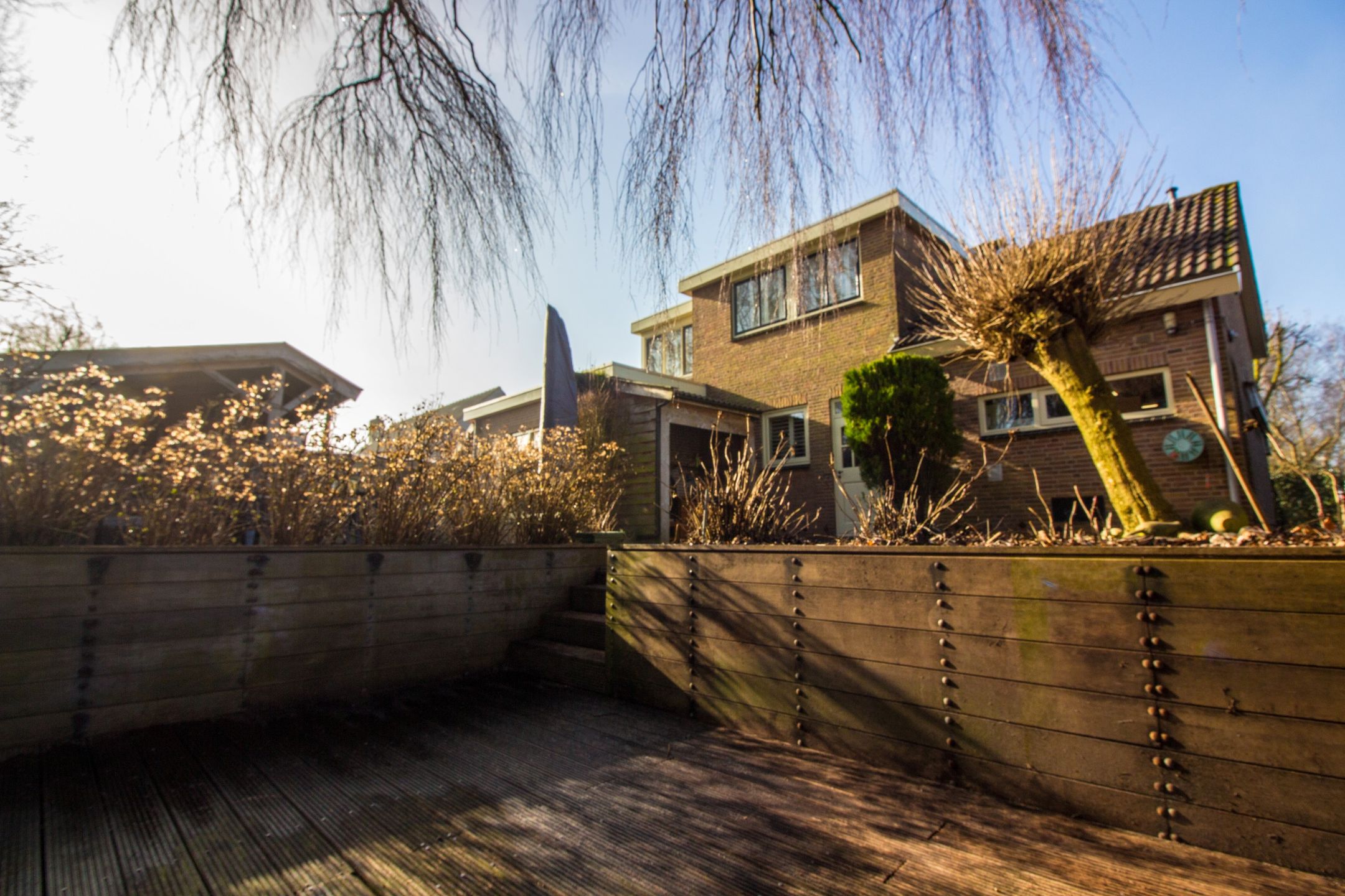 Foto 66 van Druijfplaats 15