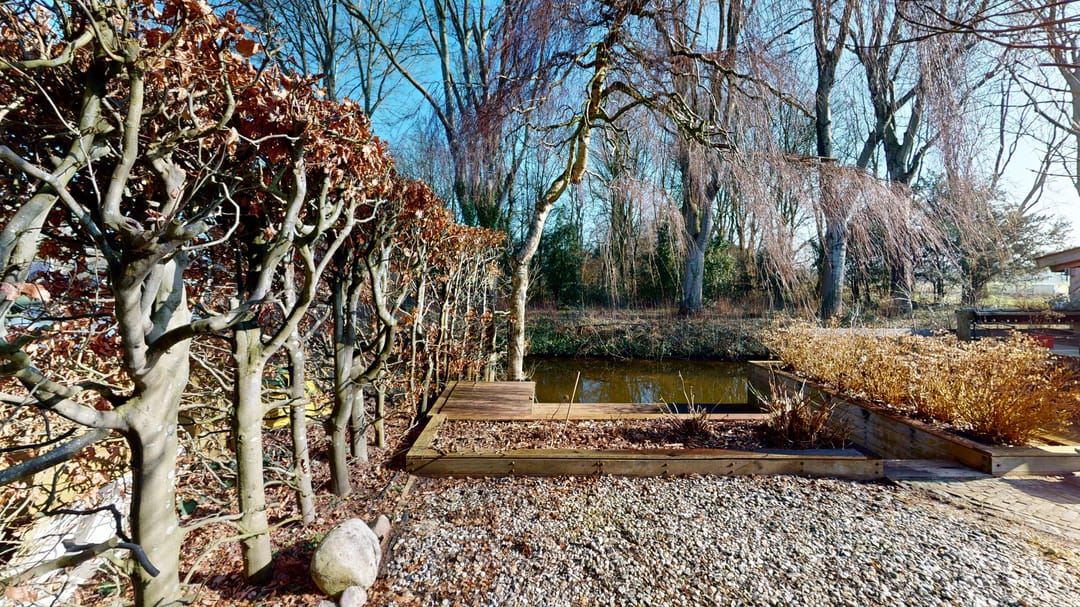 Foto 82 van Druijfplaats 15