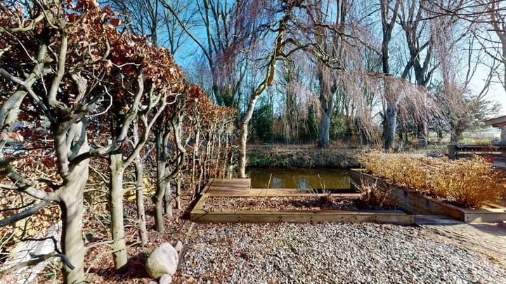 Foto 82 van Druijfplaats 15