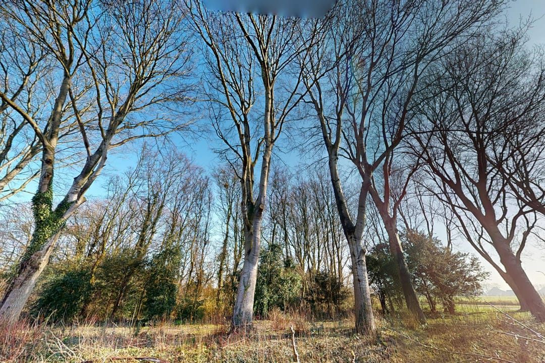 Foto 83 van Druijfplaats 15