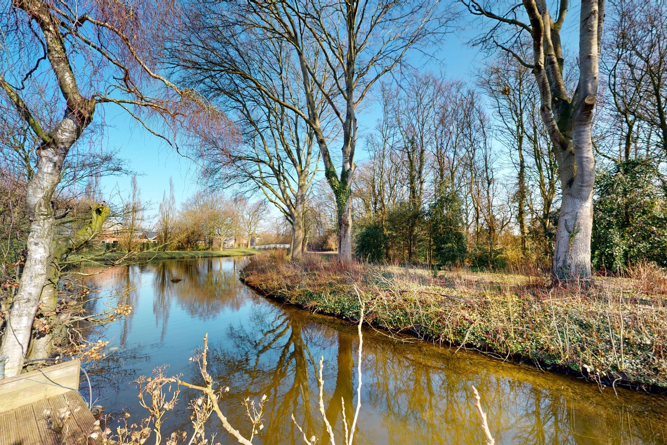 Foto 84 van Druijfplaats 15