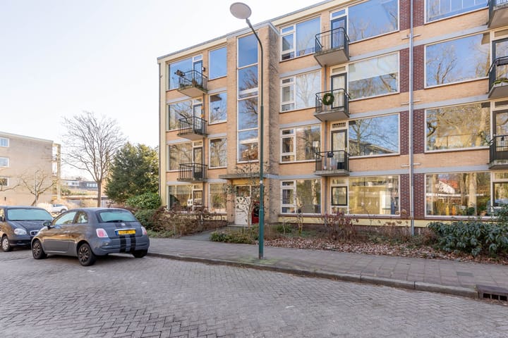 Photo 6 of Colenso 17