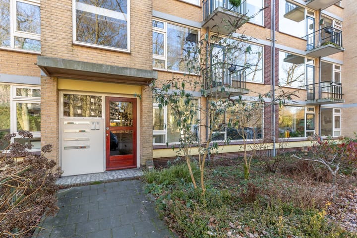 Photo 7 of Colenso 17