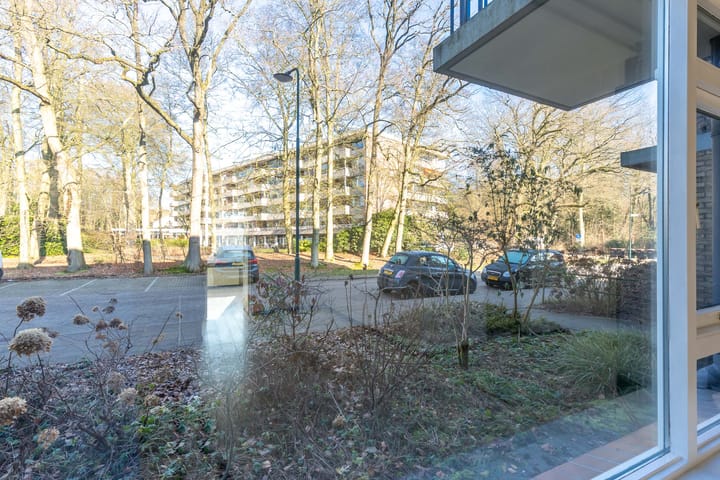 Photo 16 of Colenso 17