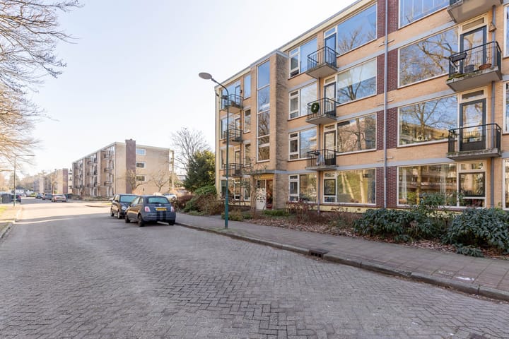 Photo 23 of Colenso 17