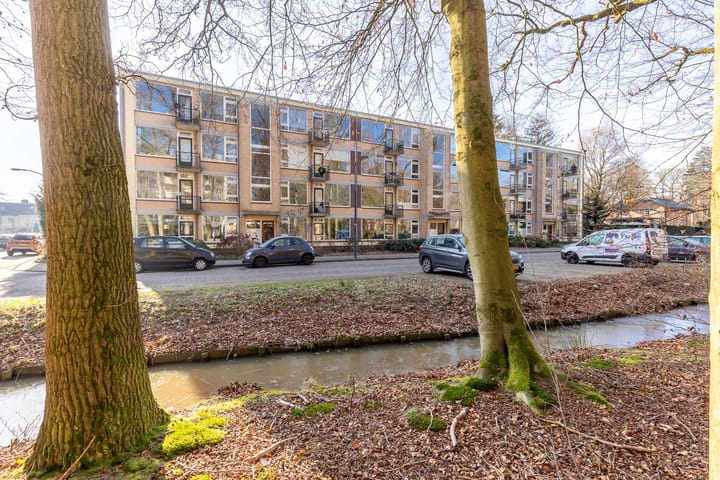 Photo 25 of Colenso 17