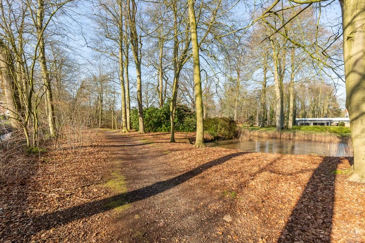 Photo 26 of Colenso 17