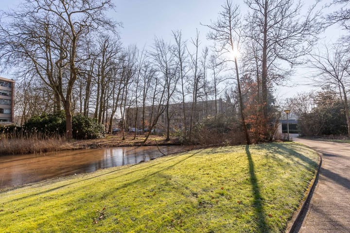 Photo 27 of Colenso 17