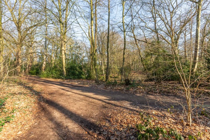 Photo 28 of Colenso 17