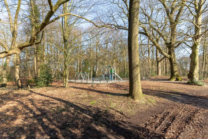 Photo 29 of Colenso 17