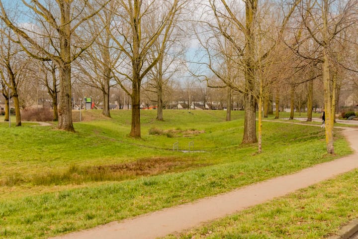 Foto 32 van Ruisdaelstraat 11