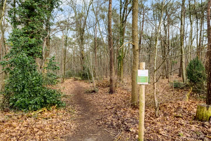 Foto 40 van Magnolialaan 5