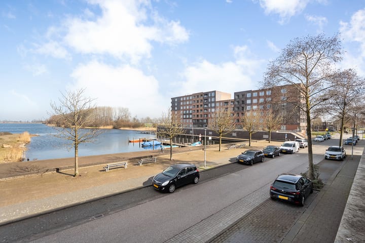 Foto 20 van Waterlelie 6