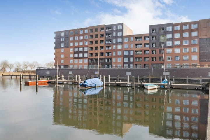 Foto 36 van Waterlelie 6