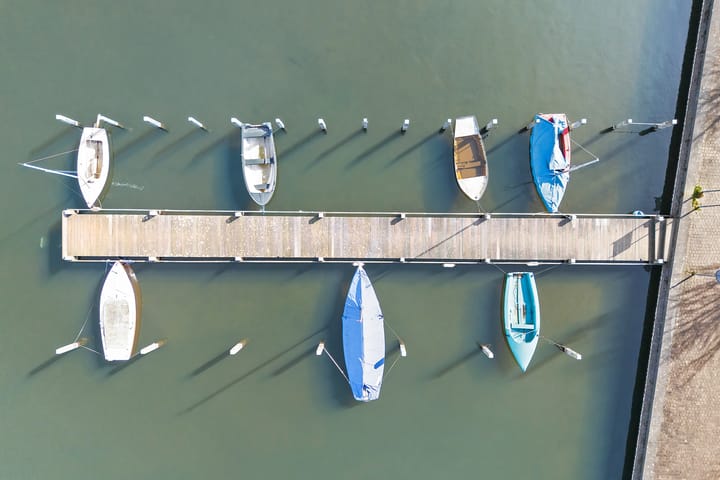 Foto 37 van Waterlelie 6