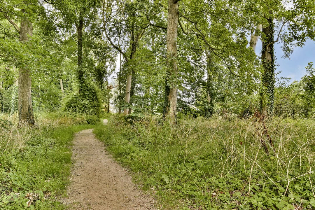 Photo 43 of Rijksstraatweg 228