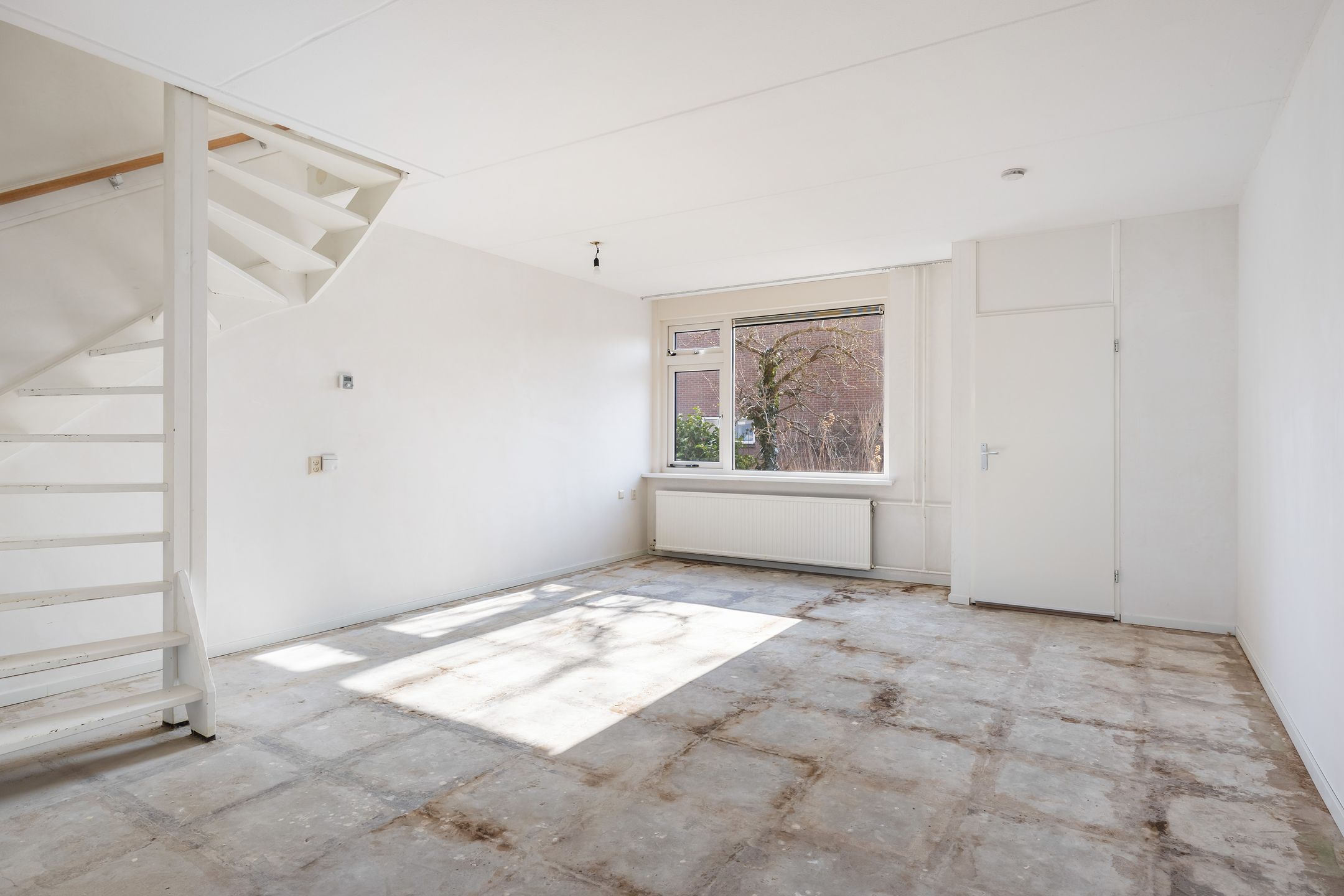 Foto 9 van Haagbeukenpad 12