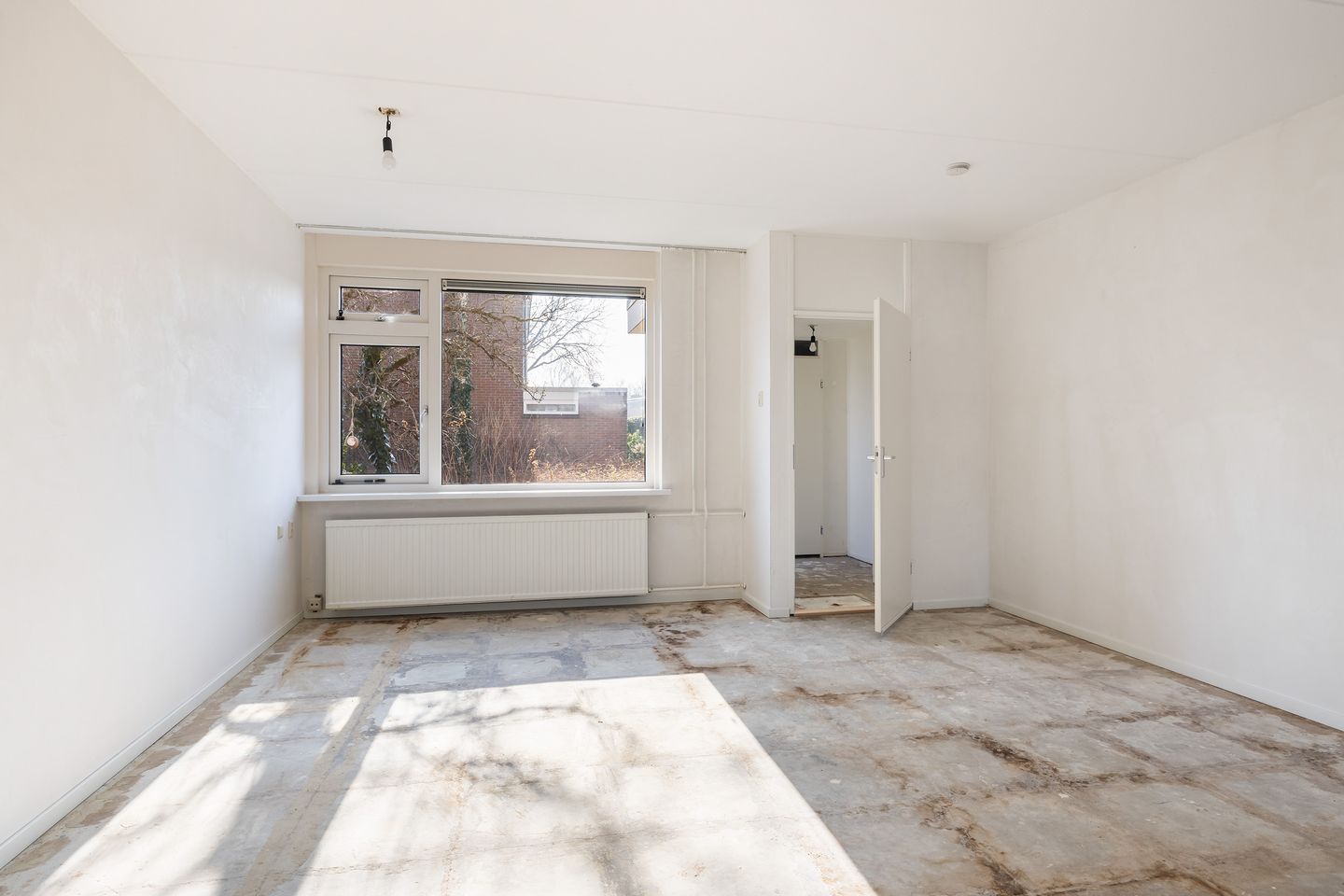 Foto 10 van Haagbeukenpad 12