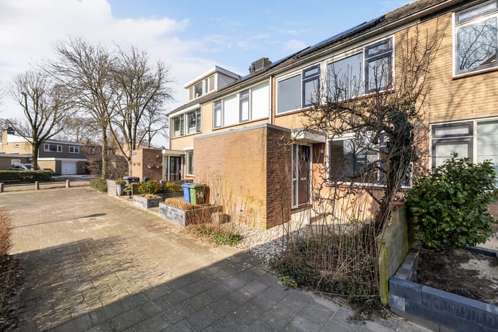 Foto 37 van Haagbeukenpad 12