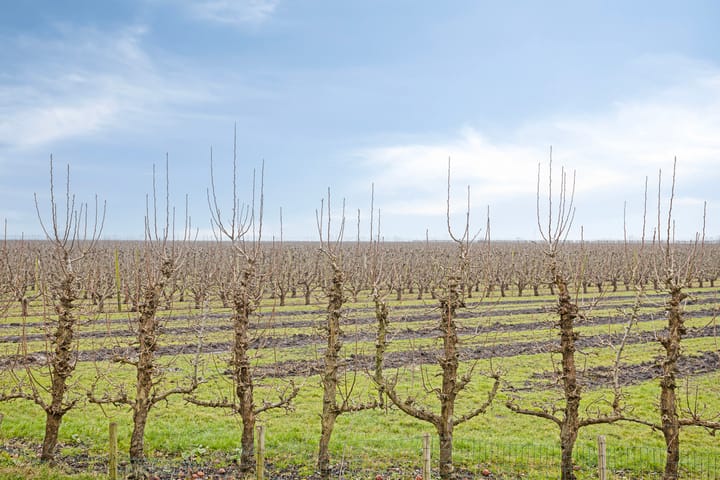 Foto 3 van Zuidermeerweg 39