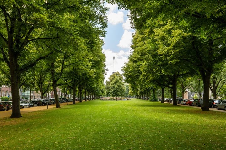 Foto 44 van Calandstraat 28-C