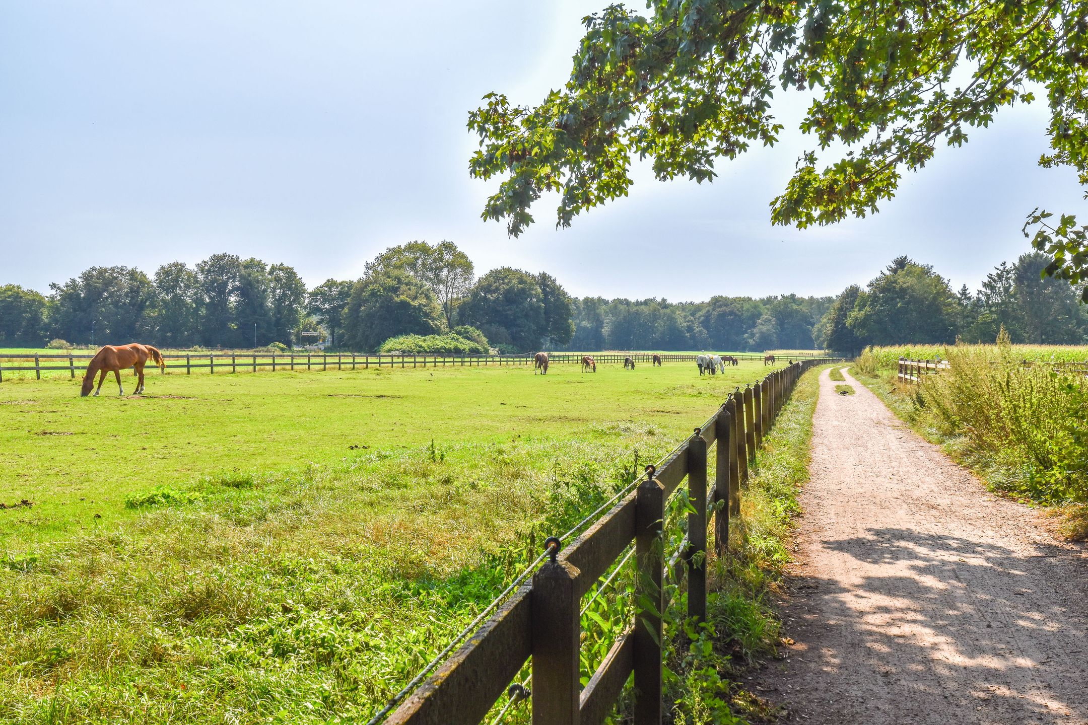 Foto 45 van Klein Laren 25