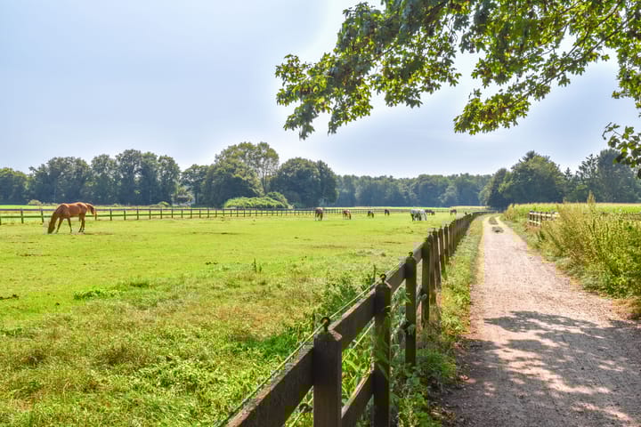 Foto 45 van Klein Laren 25