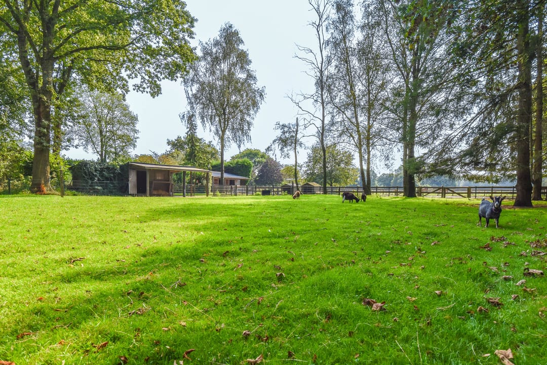 Foto 46 van Klein Laren 25