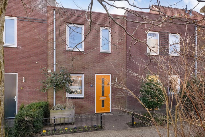 Foto 1 van Citroenvlinder 49