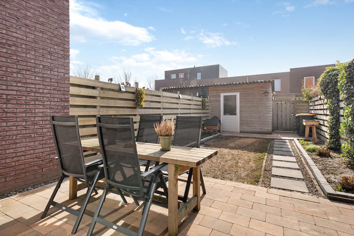 Foto 17 van Citroenvlinder 49