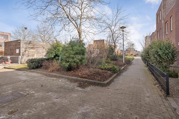 Foto 23 van Citroenvlinder 49