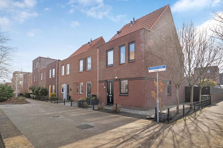 Foto 25 van Citroenvlinder 49