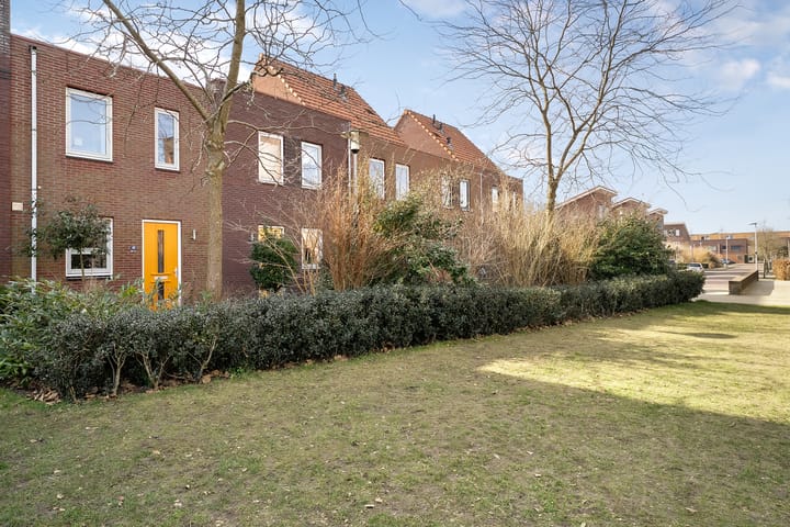 Foto 24 van Citroenvlinder 49