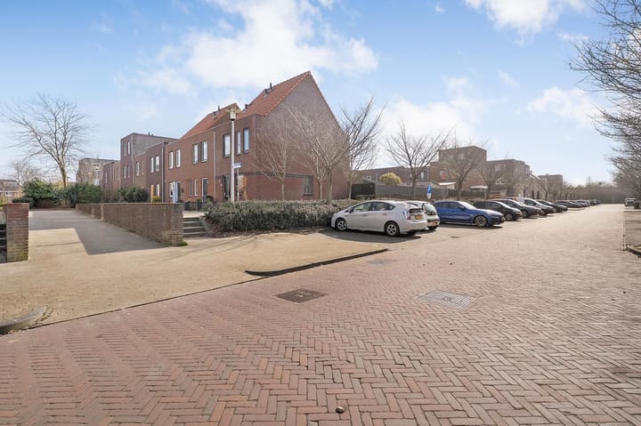 Foto 26 van Citroenvlinder 49