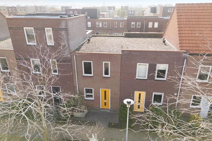 Foto 27 van Citroenvlinder 49