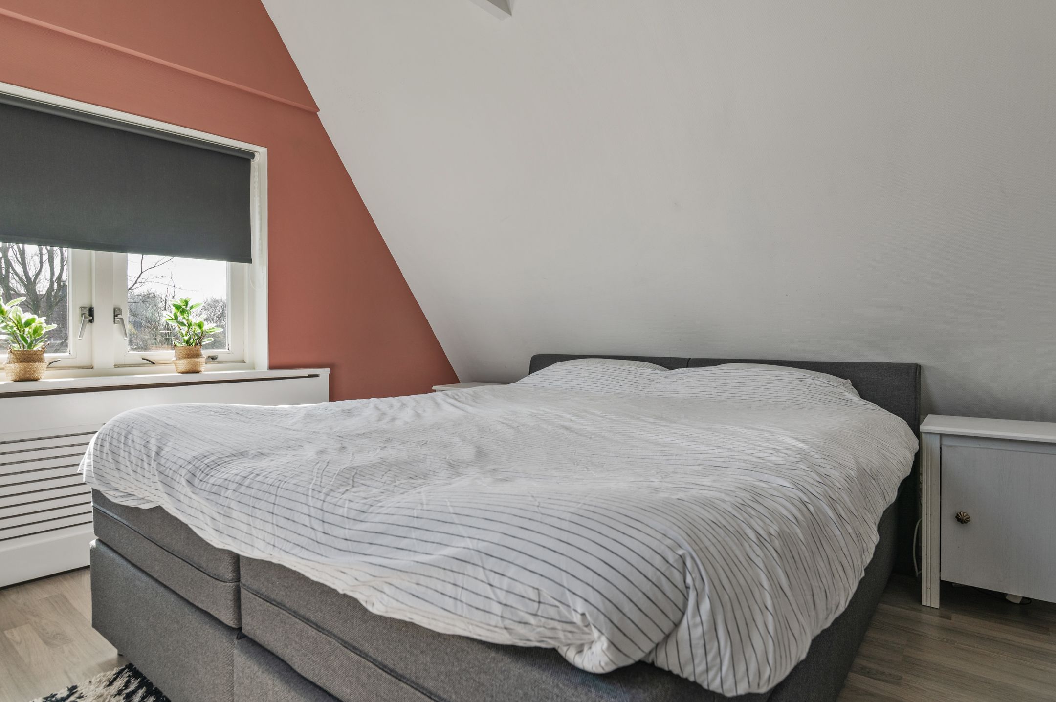 Foto 57 van Schoterlandseweg 29