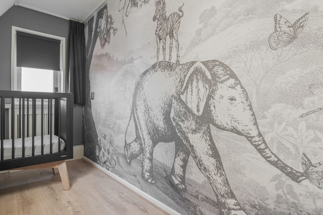 Foto 62 van Schoterlandseweg 29