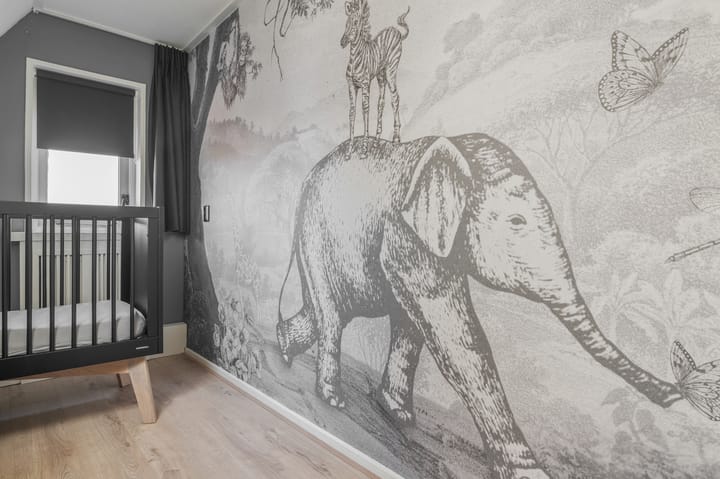 Foto 62 van Schoterlandseweg 29