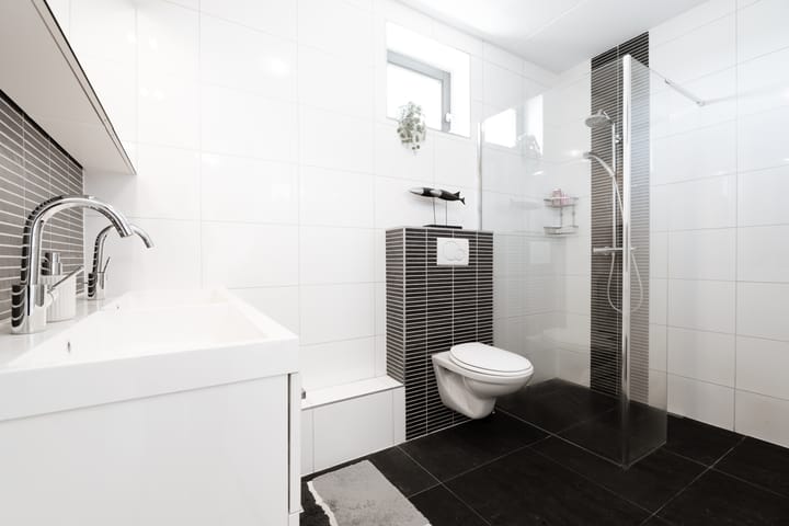 Foto 4 van Galjoen 10 1