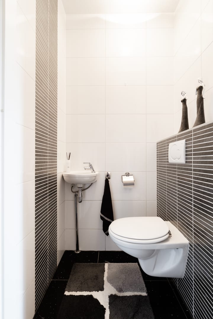 Foto 10 van Galjoen 10 1