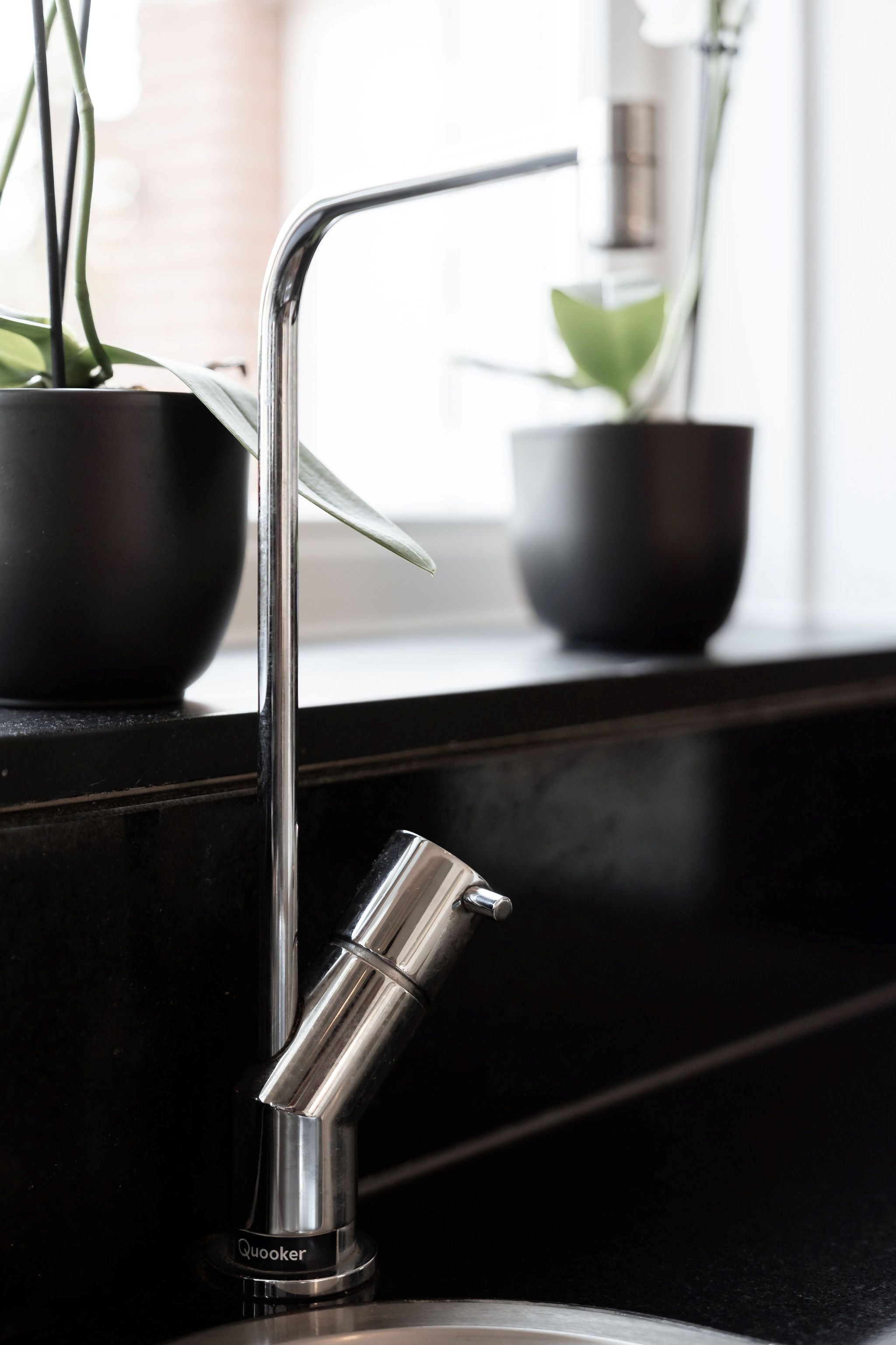 Foto 15 van Galjoen 10 1