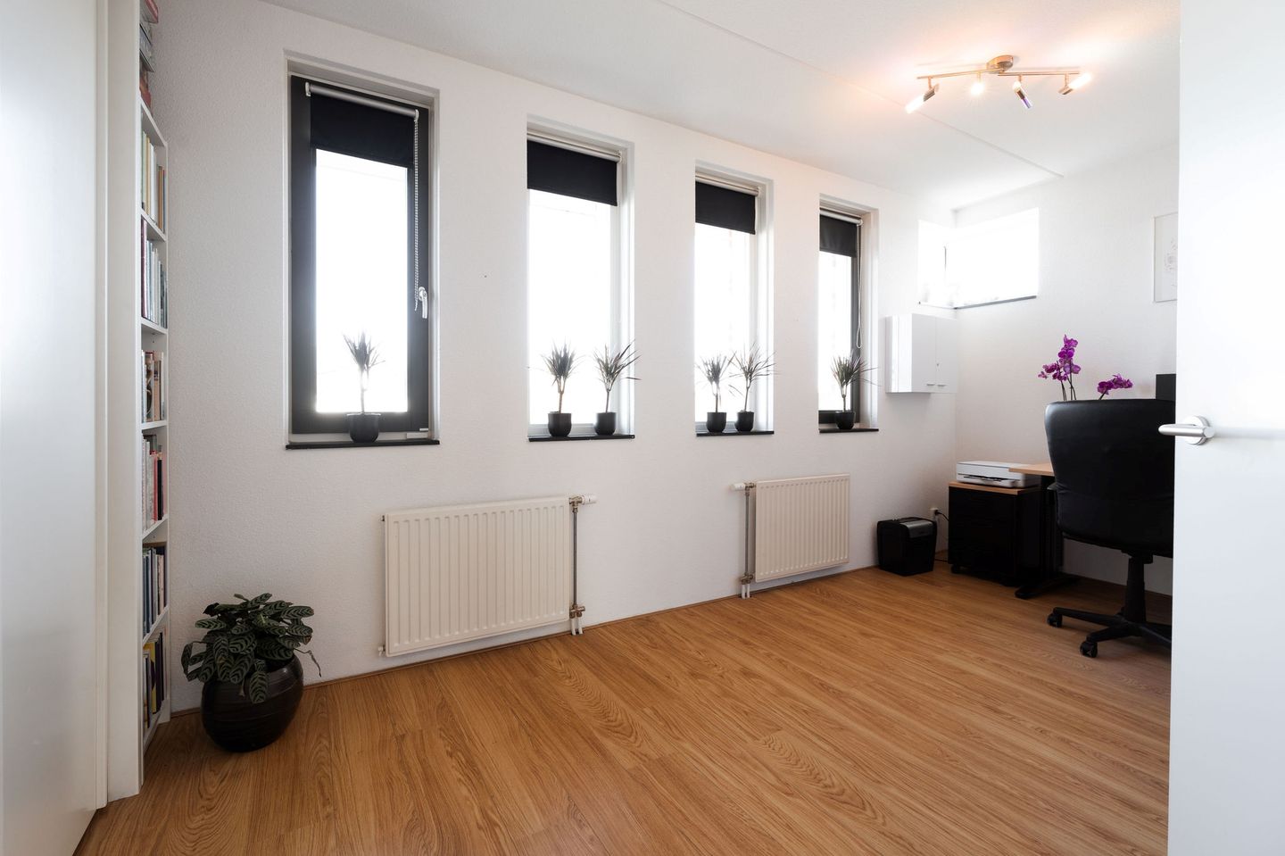 Foto 25 van Galjoen 10 1